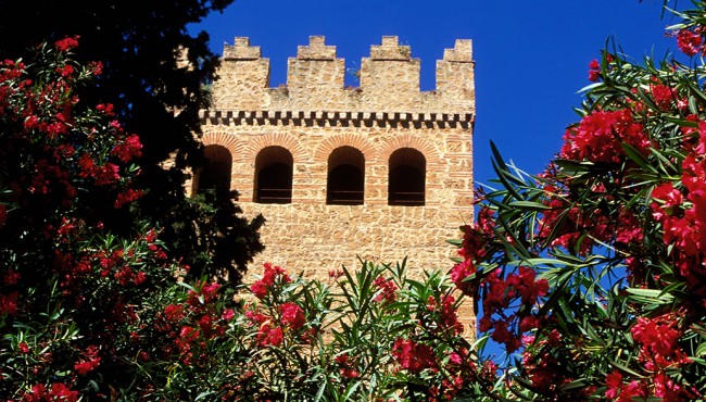 casbah and natural flawers in chefchaouen tourism in morocco