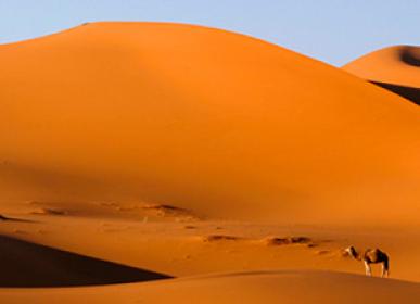 sun of the moroccan sahara tourism ride in camel