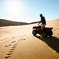 
                Desert break