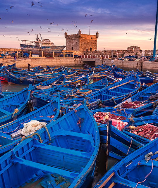 Puerto de Essaouira