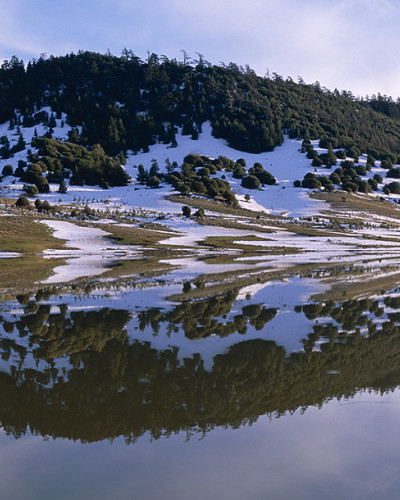 ifrane-lac.jpg