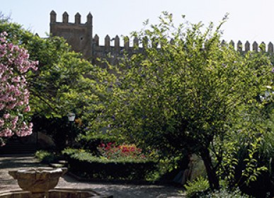 beautiful landscape in the oudayas Garden in Rabat 