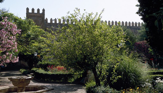 beautiful landscape in the oudayas Garden in Rabat 