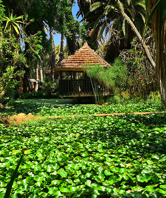 Los jardines exóticos de Rabat