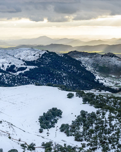 landscape-ifrane.jpg