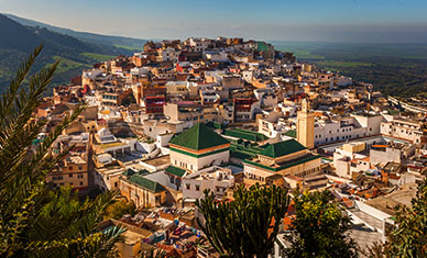 Moulay Driss Zerhoun