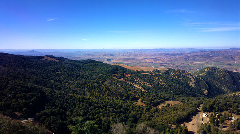 Le parc d’Ifrane