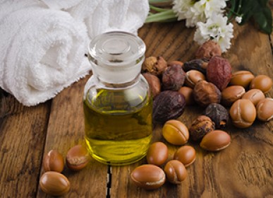 oil of argan a local original product in agadir tourism in morocco