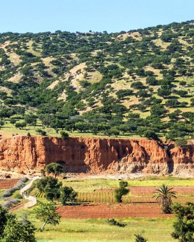 taroudant-region.jpg