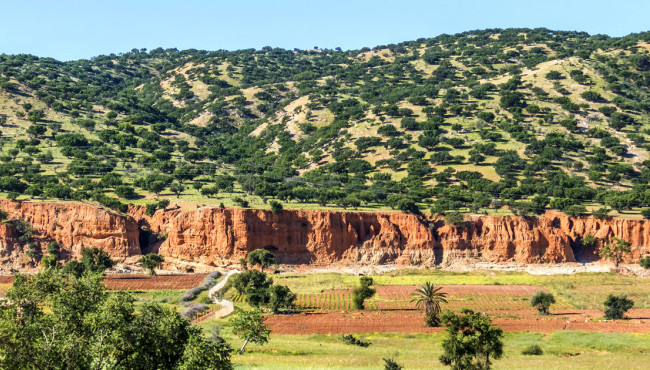 taroudant
