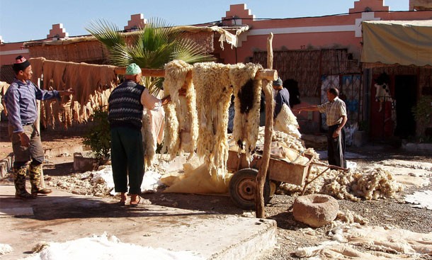 taroudant-tanneris.jpg
