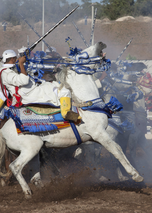 Tbourida : Moroccan equestrian art