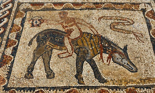 volubilis-near-meknes-in-morocco-andreas-zeitler.jpg