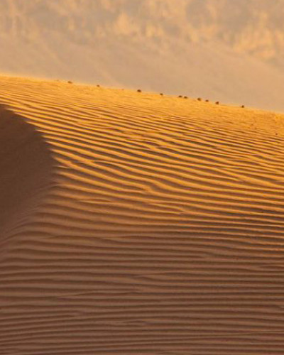 ZAGORA-DUNE.jpg