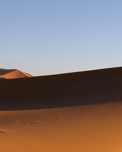 DESERT-QUAD.png